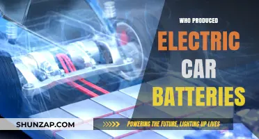 Who Produces Electric Car Batteries? Top Manufacturers Revealed