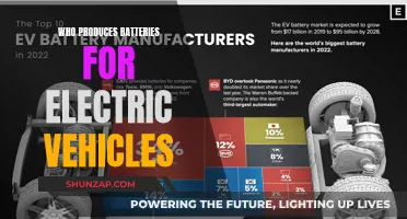 The Hidden Heroes: Battery Producers for Electric Vehicles