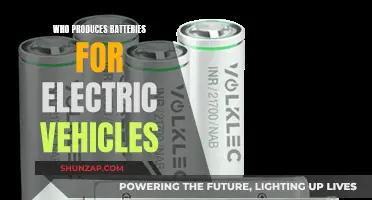 The Power Behind Electric Vehicles: Who Makes Their Batteries?