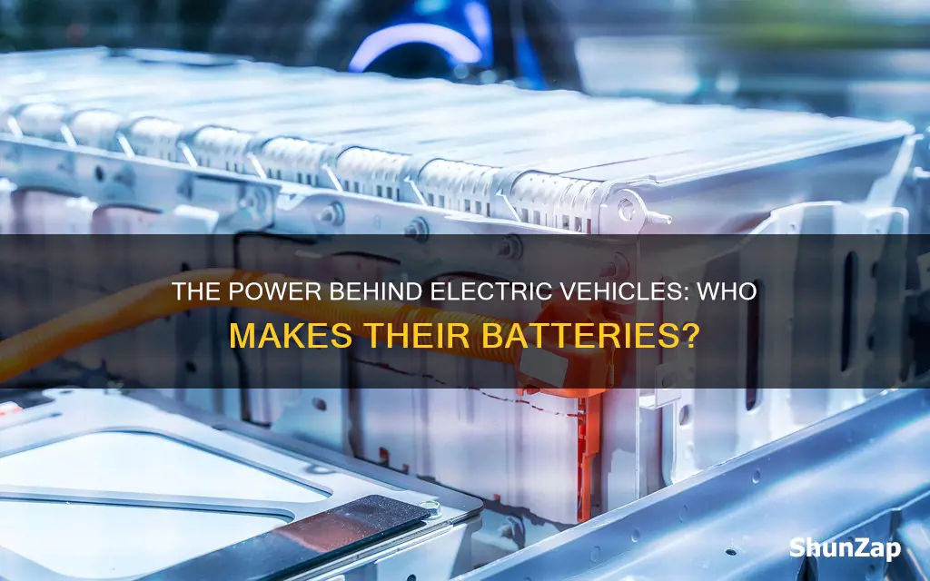 who produces batteries for electric vehicles