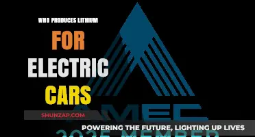 Who Produces Lithium for Electric Cars: Key Players and Supply Chain Insights