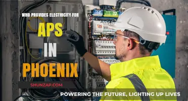 APS Electricity: Who Powers Phoenix?