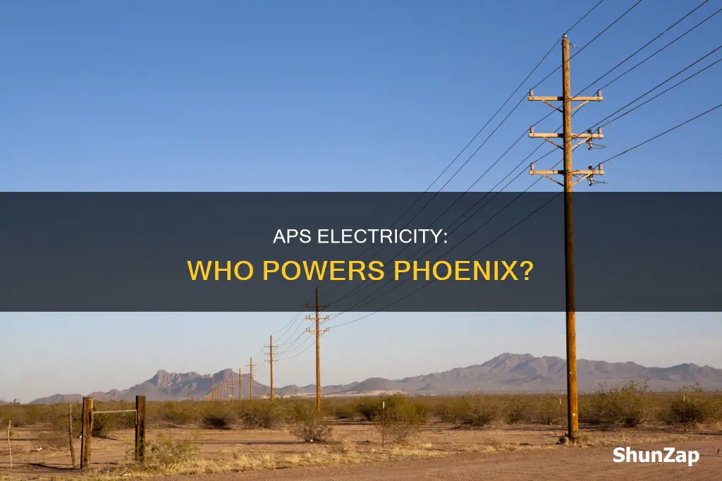 who provides electricity for aps in phoenix