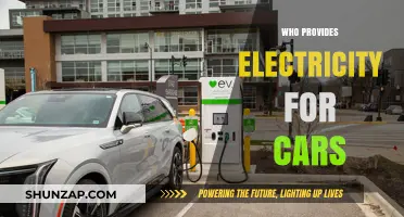 Powering Electric Vehicles: Who Supplies the Electricity for Cars?