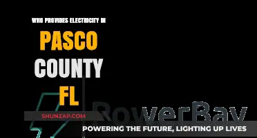 Electricity Providers in Pasco County, Florida: Who Powers Your Home?