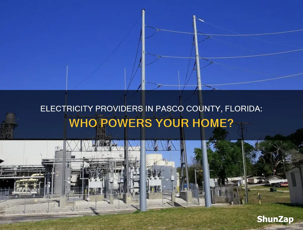 who provides electricity in pasco county fl