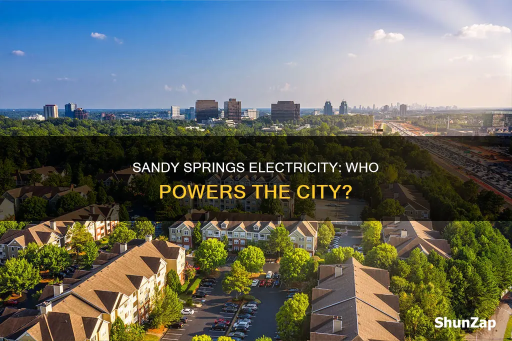 who provides electricity in sandy springs ga