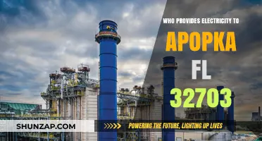 Electricity Providers in Apopka, FL: Who Powers the City?