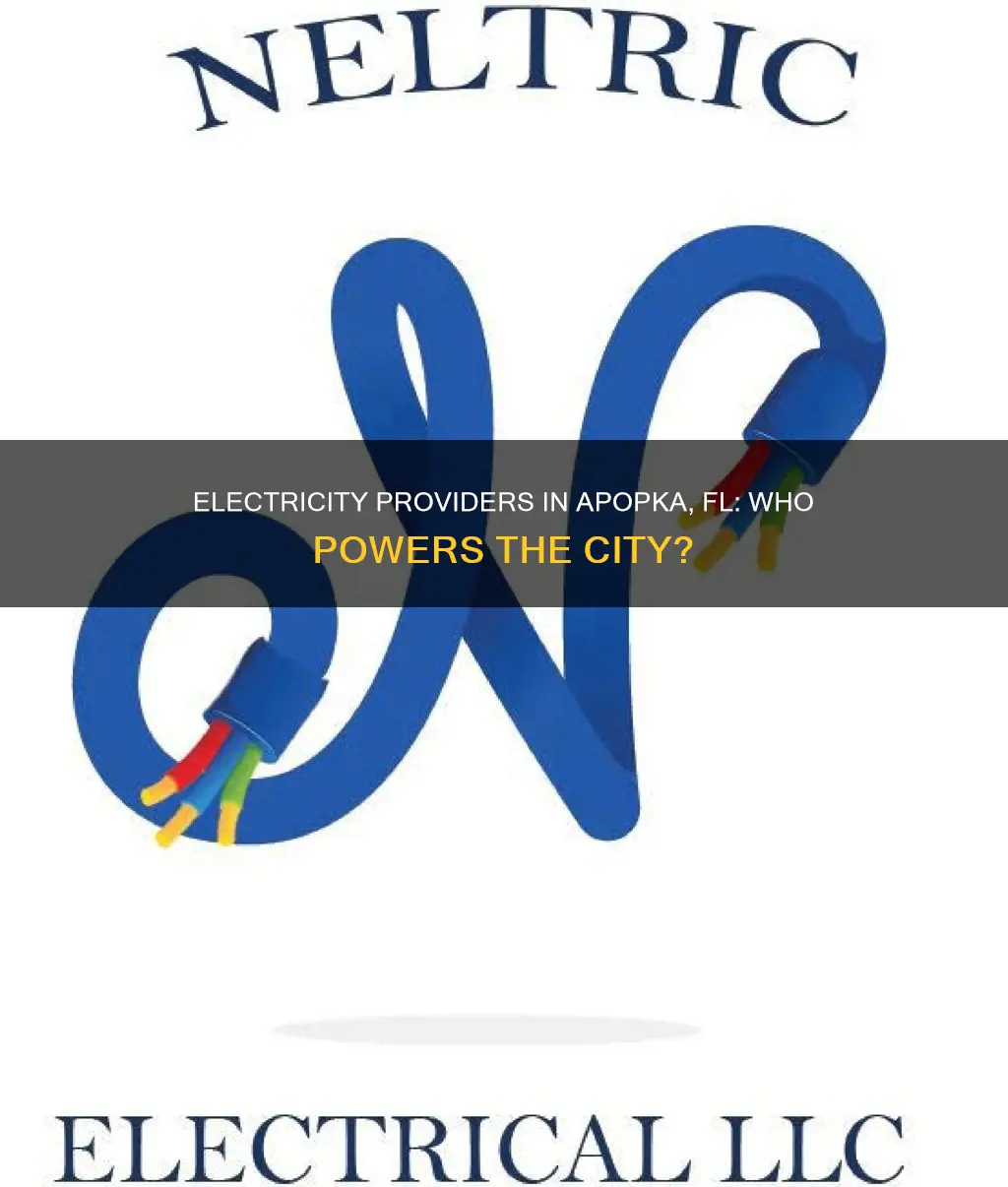 who provides electricity to apopka fl 32703