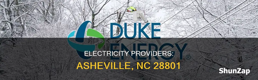who provides electricity to asheville nc 28801