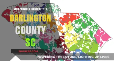 Electricity Providers in Darlington County, South Carolina