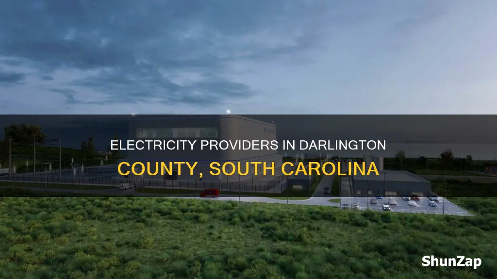 who provides electricity to darlington county sc