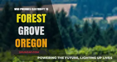 Forest Grove's Electricity Provider: Who Powers the City?