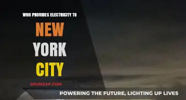 Electricity in New York: Who Powers the Big Apple?