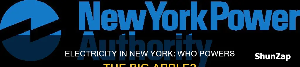 who provides electricity to new york city