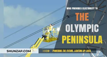 Powering Olympic Peninsula: Who Supplies the Electricity?