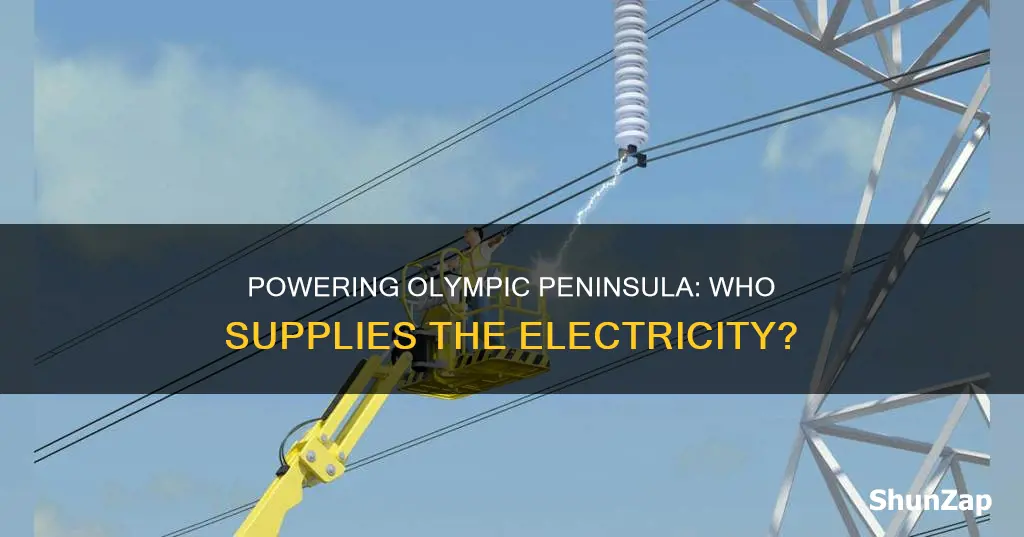 who provides electricity to the olympic peninsula