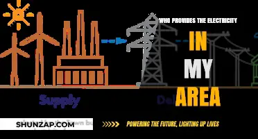 Electricity Providers: Who Powers Your Home?