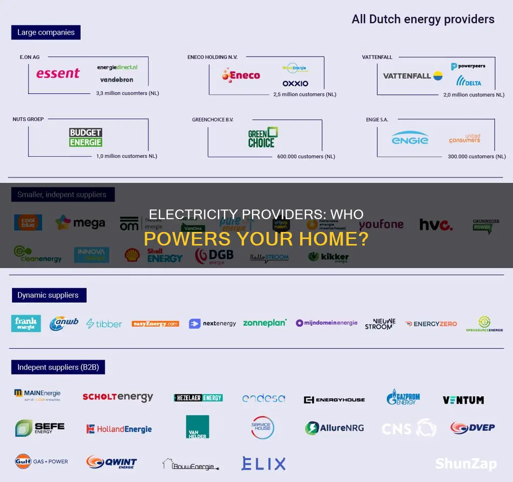 who provides the electricity in my area