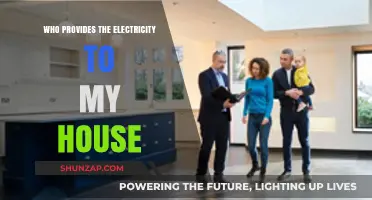 Electricity Providers: Powering Your Home