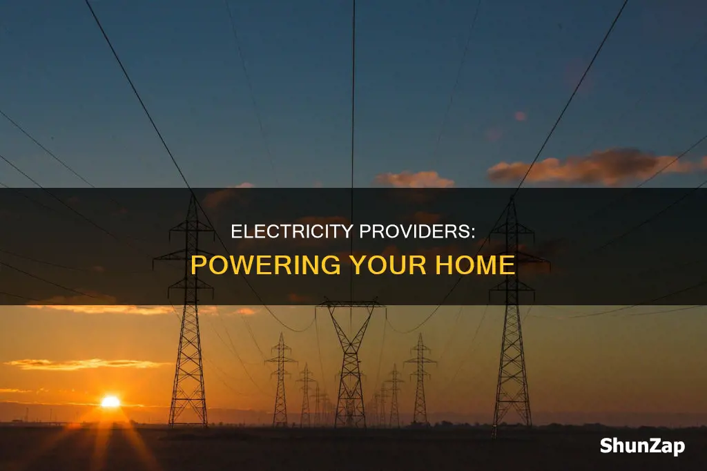 who provides the electricity to my house