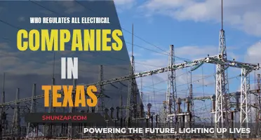 Texas Electrical Regulation: Who's in Charge?