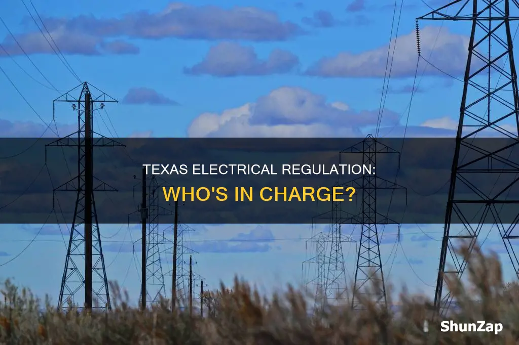 who regulates all electrical companies in texas