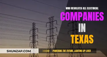 Electrical Companies in Texas: Who's the Regulator?