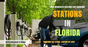 Florida's Electric Car Charging Stations: Who Oversees Their Regulation?