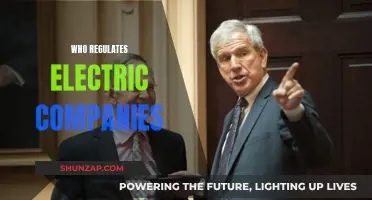 Unraveling the Web of Electric Company Regulation