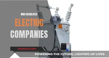 Regulating Electric Companies: Who's Watching the Power Grid?