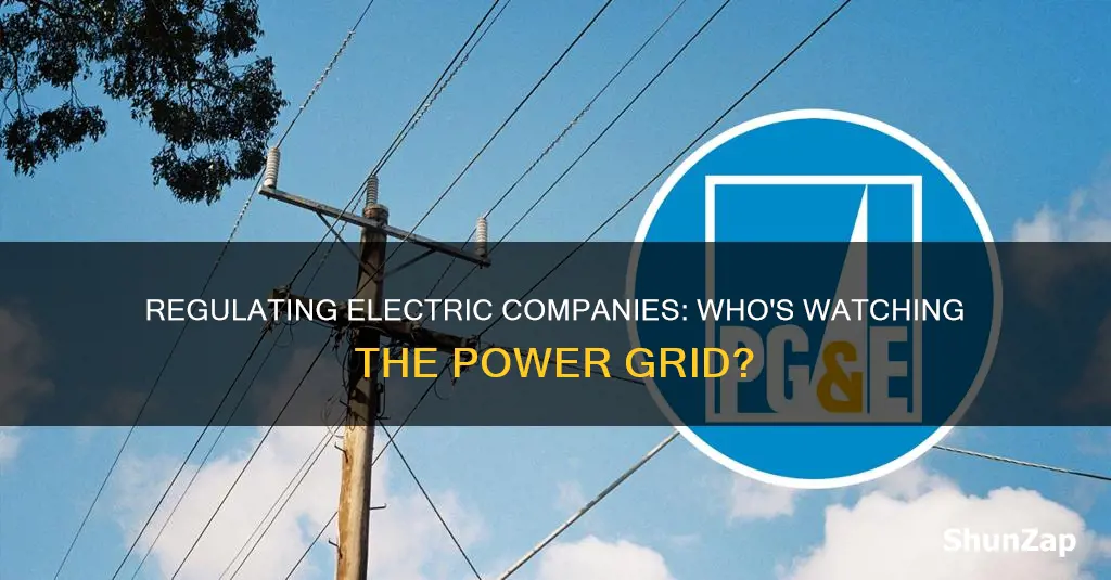 who regulates electric companies