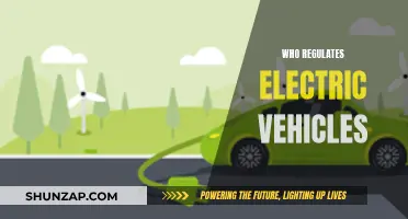 Regulating the Future: Who Oversees Electric Vehicles?