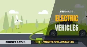 Regulating Electric Vehicles: Who's in Charge?