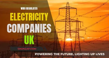 UK Electricity Companies: Regulation and Oversight