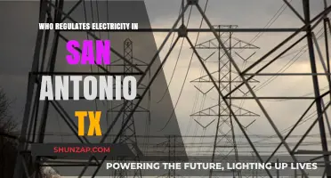 Electricity Regulation in San Antonio: Who's in Charge?