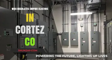Empire Electric: Who Monitors the Power Provider?