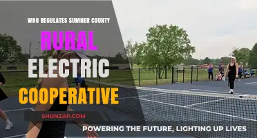 Sumner County Rural Electric Cooperative: Who's in Control?