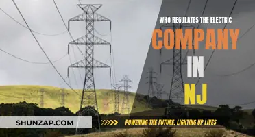 New Jersey's Electric Company Regulation: Who's in Charge?