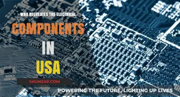 US Electrical Components: Who's in Control?