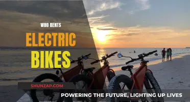 Electric Bike Rentals: Who's Riding and Why?