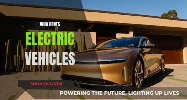 The Rise of Electric Vehicle Rentals: Who's Behind the Wheel?