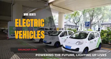Electric Vehicle Renting: Who's Driving the Change?
