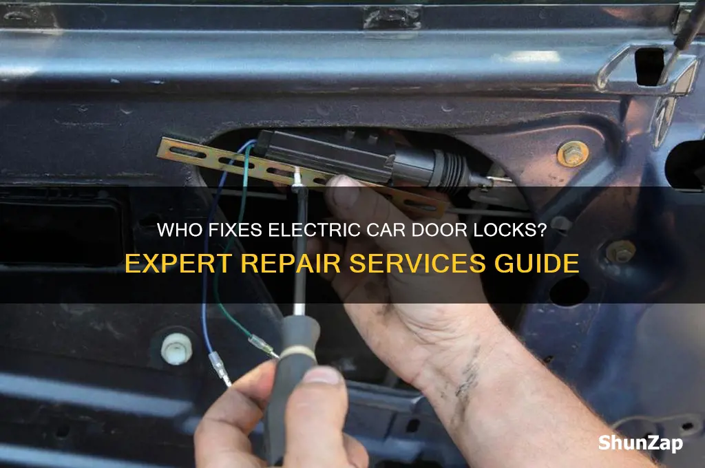 who repairs electric door locks car