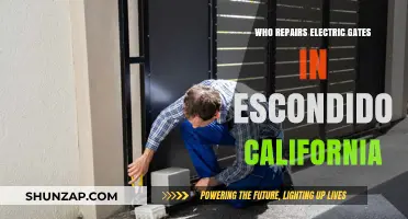 Escondido Electric Gate Repairs: Who to Call?