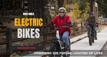 Electric Bikes: Who's Riding and Why?