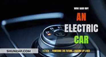 Who Said Buy an Electric Car? Exploring the Shift to EVs