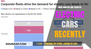 Who Said No One Wanted Electric Cars? Recent Claims Debunked