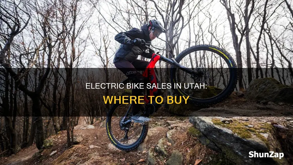 who sales electric bikes in utah