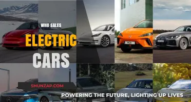 Top Electric Car Brands: Who Sells the Best EVs Today?